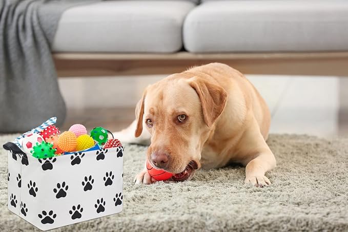 HIYAGON Dog toy Basket Dog Toy Bin Cute Toy Storage Basket Organizer Box Kids Gift Basket Empty Rectangular Room Decor for Home(Paw)-Ruum Studio Home
