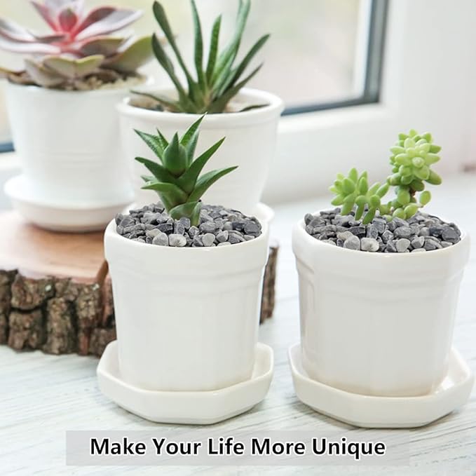 10LB Succulent and Cactus Gravel, 1/5 Inch Natural Decorative Polished Pebbles for Landscaping, Grey River Rocks for Plants, Vases, Aquariums, Terrarium and Outdoor Gardening-Ruum Studio Home