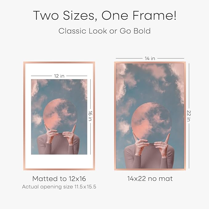 Homeforia 14x22 Picture Frame Rose Gold, High End Metal 14x22 Poster Frames with Mat 12x16 inch Photo, 14 x 22 Rose Gold Frame Matted to 12 by 16 Print, 22x14 Frame, Tempered Glass, Wall Kit, Set of 1-Ruum Studio Home