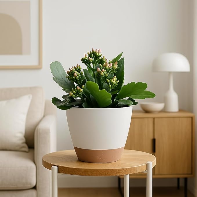 Giraffe Creation Plant Pots Set of 5 (10/9/8/7.5/7 inch), Self-Watering Indoor & Outdoor Flower Planters with Drainage Hole and Reservoir, White-Ruum Studio Home