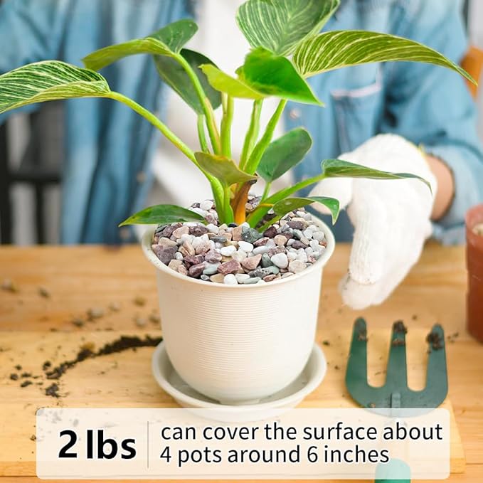 2LB Succulent and Cactus Gravel Pebbles, 1/5 Inch Natural Decorative Polished Stones, River Rocks for Vases Gardening Indoor and Outdoor Decorative Rocks, Colorful-Ruum Studio Home