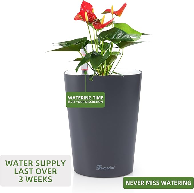 Dexceder 6x7 Self Watering Planter Indoor Outdoor, Matte Table Flower Plant Pot with Water Level Indicator (Slate Gray)-Ruum Studio Home
