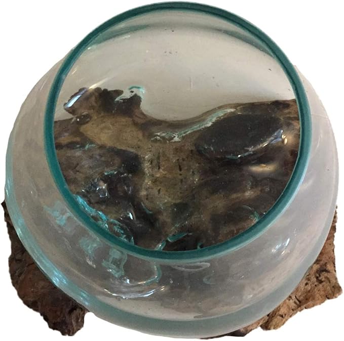 Hand Blown Molten Glass & Teak Wood Terrarium/Vase/Fish Bowl - Premium Quality (10" - 12" High)-Ruum Studio Home