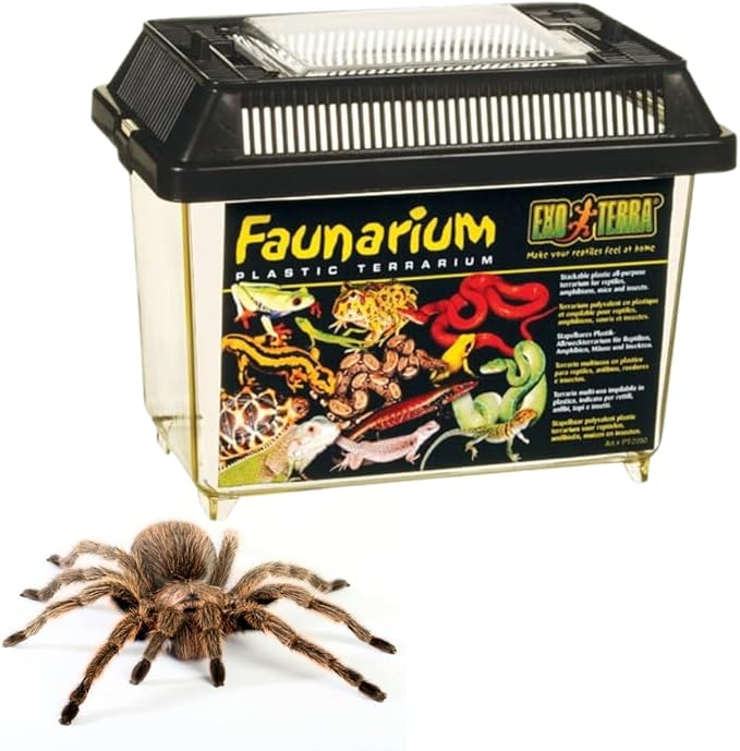 Exo Terra Faunarium, Plastic Reptile Terrarium, Large, PT2265-Ruum Studio Home