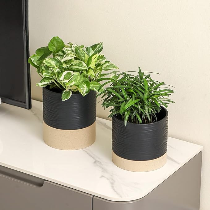 Nihow Ceramic Plant Pot: 6 Inch Planter with Drainage Hole & Saucer for Indoor & Outdoor Plants - Cylinder Round Flower Pot for Succulent/Herbs/Violets - Black & Brown-Ruum Studio Home