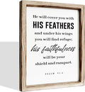 Christian Decor Signs, Framed Wall Plaque Sign 15 * 11.5 inches, Religious Home Decor, Inspirational Christian Gift for Him, He will Cover You with His Feathers Sign-Ruum Studio Home