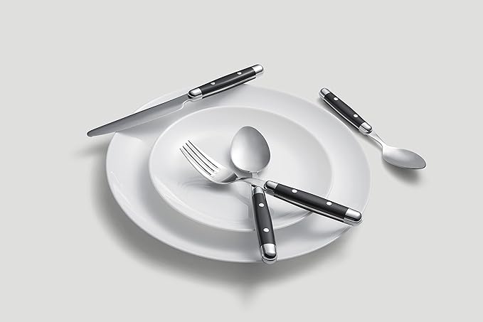 Cambridge Silversmiths 16 Piece Jubilee Flatware Set, Black-Ruum Studio Home