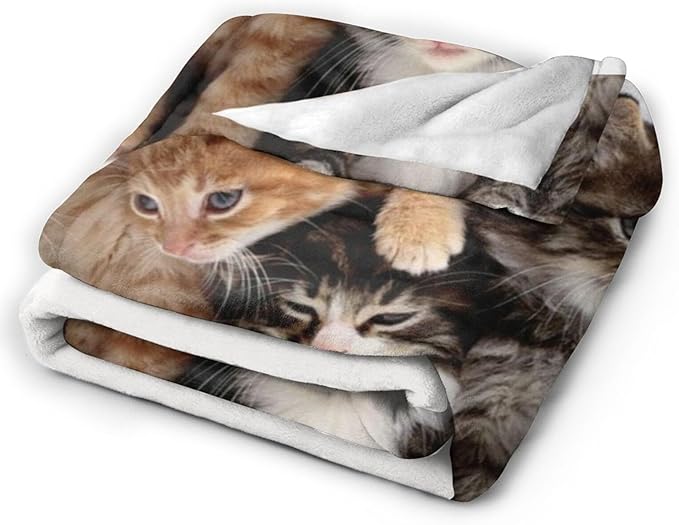 HGOD DESIGNS Cats Throw Blanket Ultra Soft Warm All Season Kittens Family Cats Decorative Fleece Blankets for Bed Chair Car Sofa Couch Bedroom 40"X50"-Ruum Studio Home