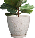 Pots for Plants 10 Inch - Ceramic Planter Large Plant Pot for Indoor Plants Outdoor Round Flower Pot with Drainage Hole and Saucer Home Garden Decor White-Ruum Studio Home