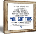 nspirational Wood Sign, Wooden Plaques Table Decor, Office Desk Sign, Farmhouse Home Decorate, Affirmation Signs Decorate Gift, Encouragement Gift, In Case No Nobody Told You Today Signs-Ruum Studio Home