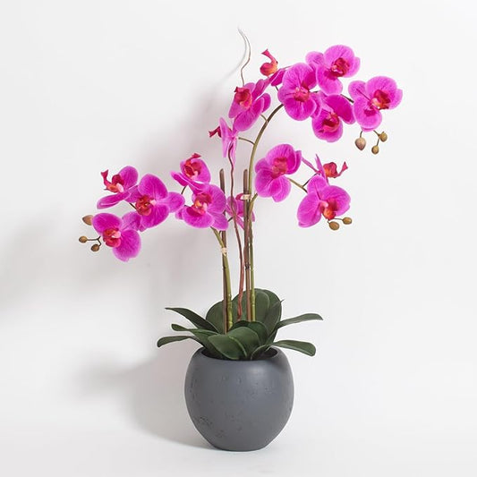 Faux Pink Orchid Plant, Premium Artificial Indoor Flower Display Stands 25-Inches with Beautiful Sculptural Blooms and Foliage That Lasts Forever, Grey Planter Pot Included-Ruum Studio Home
