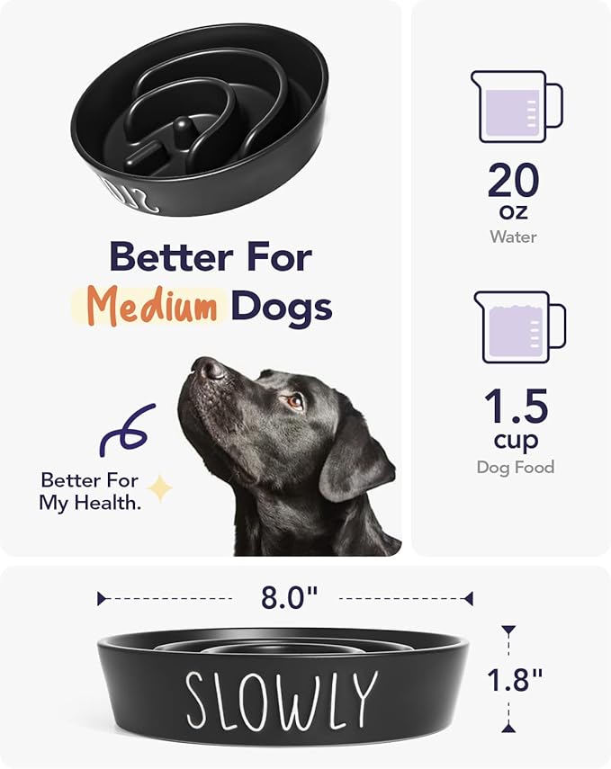 Slow Feeder Dog Bowl - 1.5 Cups Ceramic Puzzle Feeder for Small & Medium Breeds, Maze Design Pet Dish for Puppy & Fast Eaters, Black Non-Slip Bowl to Control Eating Speed-Ruum Studio Home