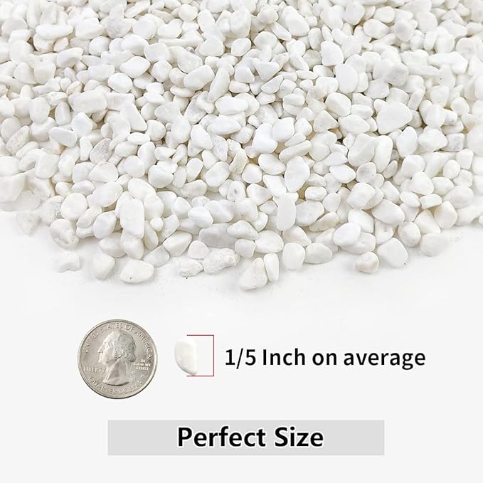2LB Succulent and Cactus Gravel Pebbles, 1/5 Inch White Natural Decorative Polished Stones, River Rocks for Plants, Vases, Aquariums, Terrarium and Outdoor Gardening,White-Ruum Studio Home