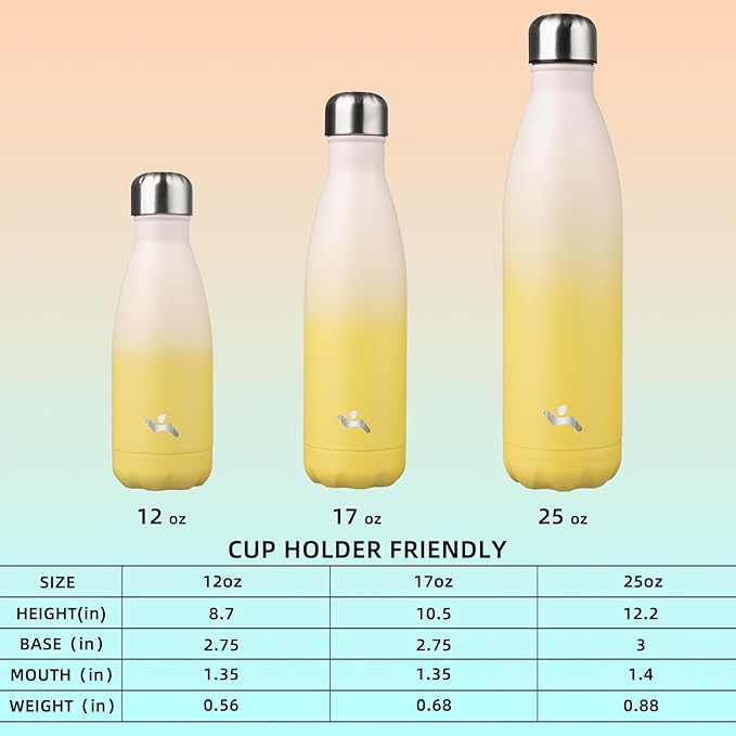 Insulated Water Bottles,25 oz Double Wall Stainless Steel Vacumm Metal Flask for Sports Travel,Lemon-Ruum Studio Home
