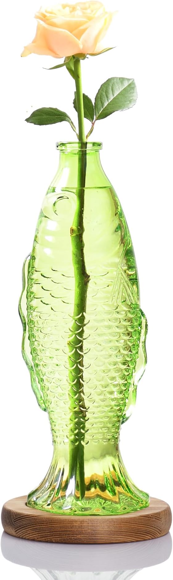 Nacome Fish Vase Glass Plant Terrarium with Wooden Stand,Plant Propagation Station for Home Office Hydroponics Desk Decoration,Unique Gardening Gifts for Plant Lovers Women Mom(Green)-Ruum Studio Home