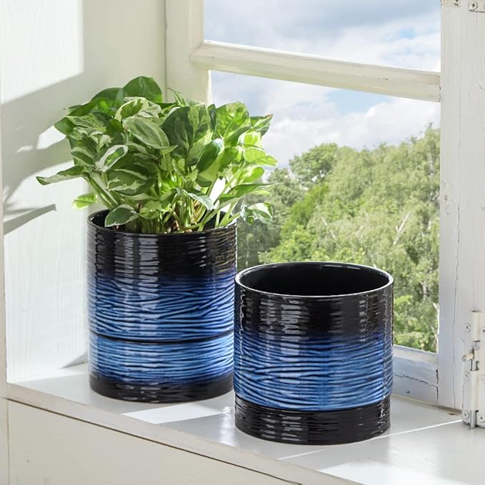 Nihow Self Watering Plant Pot: 6 Inch Ceramic Planter with Drainage Hole & Water Storage Plus for Indoor & Outdoor Plants - Cylinder Round Flower Pot for Succulent/Herbs/Violets - Black & Vivid Blue-Ruum Studio Home