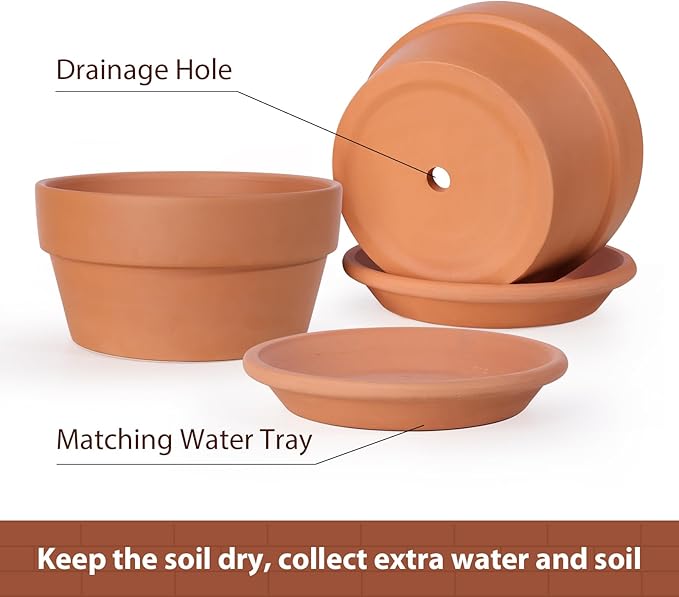 INGOFIN 8 Inch Terracotta Shallow Pots Set with Saucer - Ceramic Clay Pots with Drainage Hole, Terra Cotta Pot for Plants for Indoor Outdoor Plants, Set of 2-Ruum Studio Home