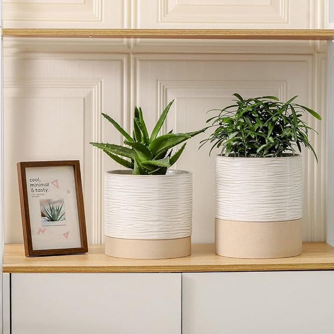Nihow Ceramic Plant Pot: 6 Inch Planter with Drainage Hole & Saucer for Indoor & Outdoor Plants - Cylinder Round Flower Pot for Succulent/Herbs/Violets - Cream White & Brown-Ruum Studio Home