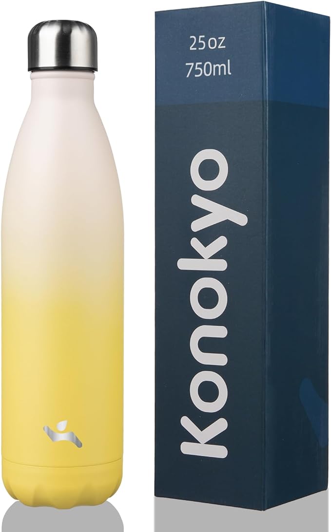 Insulated Water Bottles,25 oz Double Wall Stainless Steel Vacumm Metal Flask for Sports Travel,Lemon-Ruum Studio Home