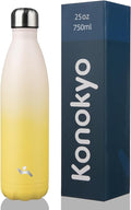 Insulated Water Bottles,25 oz Double Wall Stainless Steel Vacumm Metal Flask for Sports Travel,Lemon-Ruum Studio Home