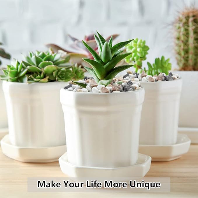 2LB Succulent and Cactus Gravel Pebbles, 1/5 Inch Natural Decorative Polished Stones, River Rocks for Vases, Aquariums, Terrarium and Outdoor Gardening, Mixed Color-Ruum Studio Home