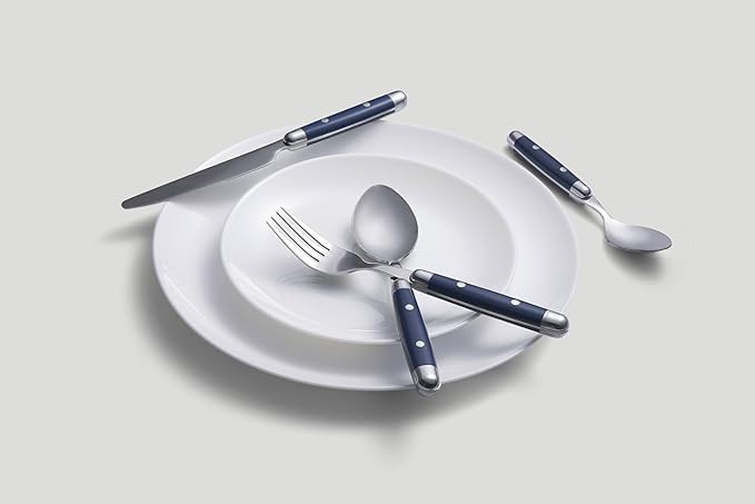 Cambridge Silversmiths, Blue, Jubilee Flatware, Service for 4, 16 Piece Set, Dorm Room Essentials, First Apartment-Ruum Studio Home
