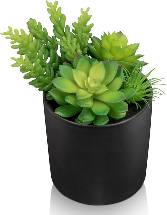Artificial Succulents in Pots Faux Succulents Plants Fake Succulent Arrangement Potted Plants with Black Ceramic Vase for Office Desk Bathroom Shelf Living Room Indoor Home Decor-Ruum Studio Home