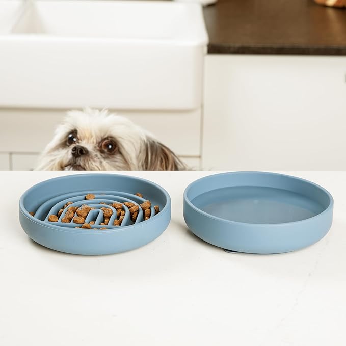 The Slowdown Bowl Silicone Slow Feeder for Cats & Dogs, Slow Eating Mealtime Solution with Modern Lick Mat Design, Reduces Gulping, Fits 1 Cup 6” Across x 1.25” Tall, Small-Sage-Ruum Studio Home