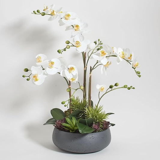 Faux Orchid Plant w/Succulents, Premium Artificial Indoor Flower Display Stands 24” w/Beautiful Sculptural Blooms and Succulents That Lasts Forever, Grey Planter Pot Included-Ruum Studio Home