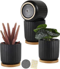 TAMAYKIM 4 Inch Small Cylinder Ceramic Plant Pots with Drainage Holes, Modern Indoor Planters with Tray for Aloe, Succulent, Snake Plants, Cactus & Herbs, Black, Set of 4-Ruum Studio Home