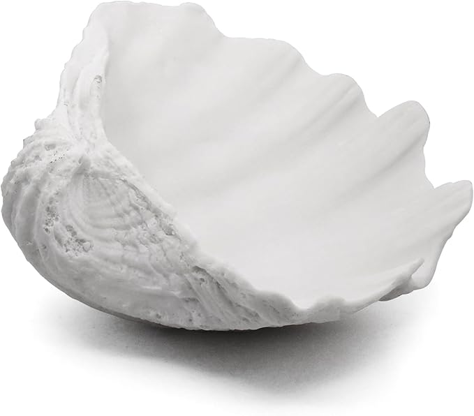 Accessoryway Extra Large Clam Shells Decorative Bowl-White Sea Shells Decorative Storage Bowls for Coastal Beach theme house table centerpiece decorations & Nautical decor for coffee table-12.4"-1PC-Ruum Studio Home