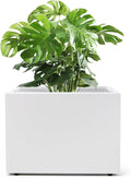 Metal Planter Box Rectangular Block-No Installation Required Galvanized Steel Long Box Planter Modern Outdoor Planters All-Weather Use with Drainage Holes for Patio/Porch,16 ×12×12IN（White）-Ruum Studio Home