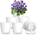 6 inch Self Watering Pots for Indoor Outdoor Plants, 6 Pack Flower Plant Pots with Drainage Holes and Clear Reservoirs, Visible Water Level, Plastic Planters with Wicking Rope, White-Ruum Studio Home