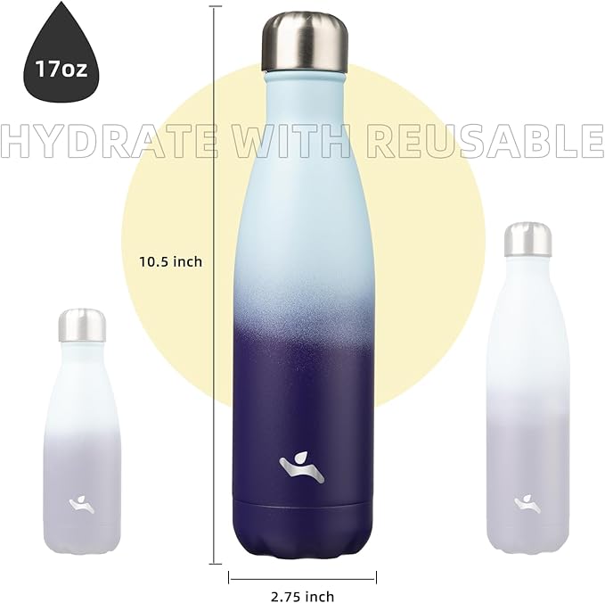 Insulated Water Bottles,17 oz Double Wall Stainless Steel Vacumm Metal Flask for Sports Travel,Ocean Dream-Ruum Studio Home