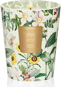 M&SENSE Sage Citrus Scented Natural Soy Wax Candle, 14.1oz 60 Hours Long Lasting Slow Burning Candles for Home Decor, Aromatherapy Candle for Stress Relief-Ruum Studio Home