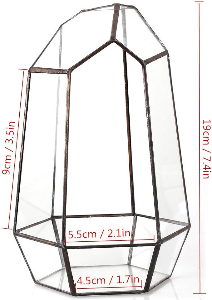 NCYP Small Glass Geometric Terrarium - 4.9 x 3.9 x 7.4 Inches Irregular Clear Planter Pot for Succulents, Cactus, Indoor Garden Tabletop Decoration, Centerpiece (No Plants, No Door)-Ruum Studio Home