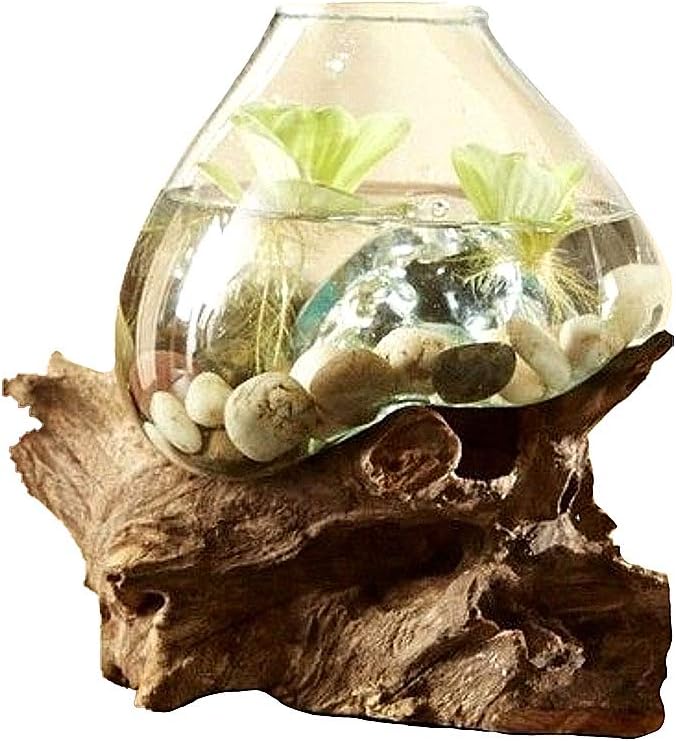 Hand Blown Molten Glass & Teak Wood Terrarium/Vase/Fish Bowl - Premium Quality (10" - 12" High)-Ruum Studio Home