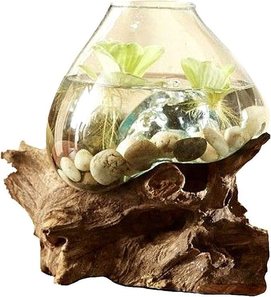 Hand Blown Molten Glass & Teak Wood Terrarium/Vase/Fish Bowl - Premium Quality (10" - 12" High)-Ruum Studio Home