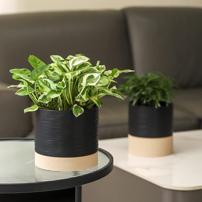 Nihow Ceramic Plant Pot: 6 Inch Planter with Drainage Hole & Saucer for Indoor & Outdoor Plants - Cylinder Round Flower Pot for Succulent/Herbs/Violets - Black & Brown-Ruum Studio Home