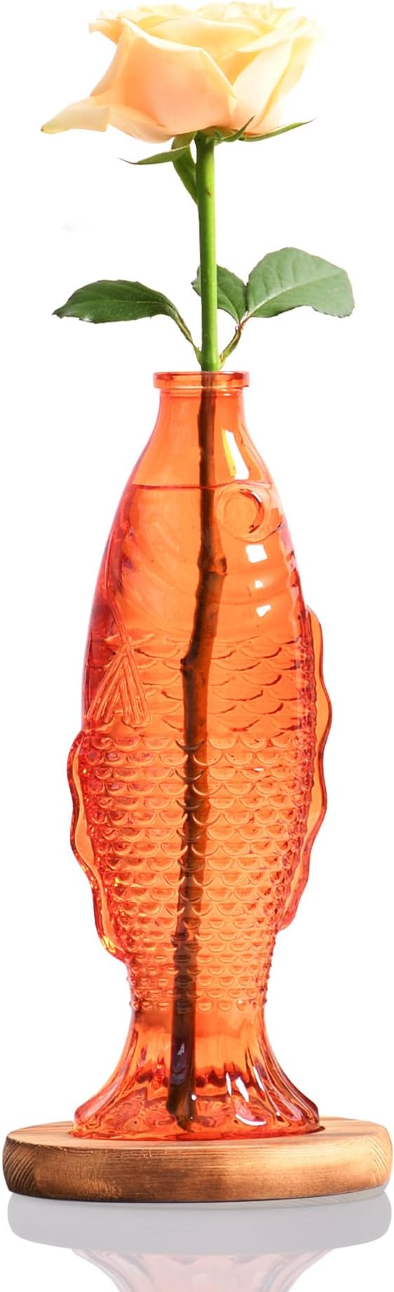 Nacome Fish Vase Glass Plant Terrarium with Wooden Stand,Planter Propagation Station for Home Office Hydroponics Desk Decoration,Unique Gardening Gifts for Plant Lovers Women Mom(Orange)-Ruum Studio Home