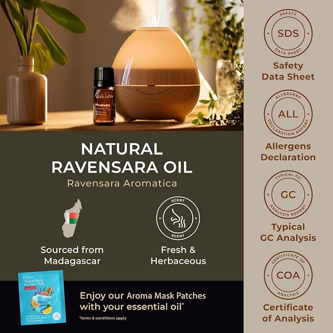 Gya Labs Ravensara Essential Oil for Diffuser - 0.34 Fl Oz - 100% Pure Natural Ravensara Oil for Skin, Hair, Aromatherapy & Candle Making Scent-Ruum Studio Home