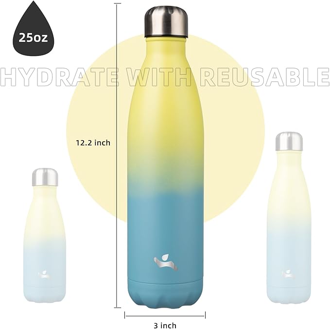 Insulated Water Bottles,25 oz Double Wall Stainless Steel Vacumm Metal Flask for Sports Travel,Sandy Beach-Ruum Studio Home