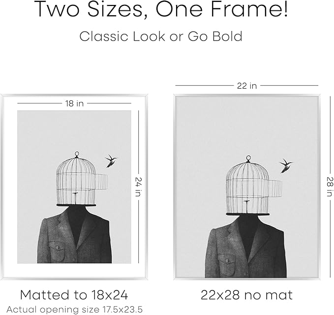 Homeforia Silver 22x28 Picture Frame, Rectangular Metal Poster Frame with Mat, 22 x 28 Frame Matted to 18 x 24 Photo, Wall Mount, Minimalist Style, Tempered Glass, Wall Hook Included-Ruum Studio Home