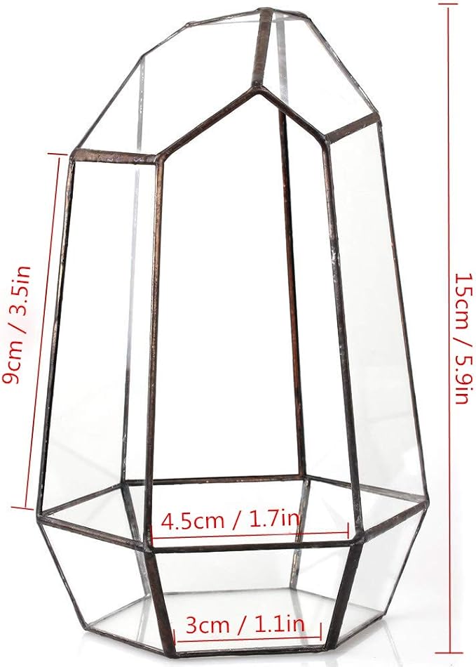 NCYP Small Geometric Terrarium - 4.1" x 3.5" x 5.9" Miniature Irregular Glass Terrarium Planter for Succulent Air Plants - Tabletop Garden Display Container, Black (No Plants, No Door)-Ruum Studio Home