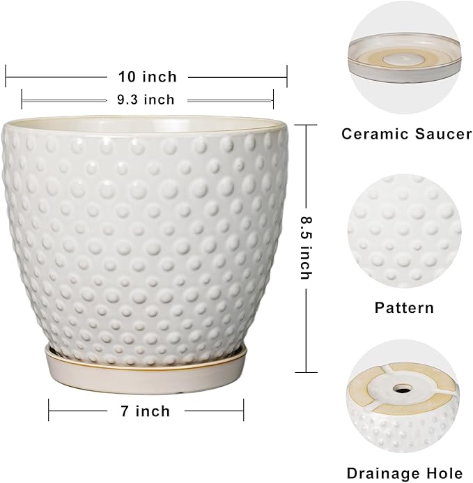 G EPGardening 10 Inch Plant Pot Ceramic Pots for Plants Indoor Outdoor Plant Pots with Drainage Hole and Saucer Round Large Flower Pot for Home Garden Office White-Ruum Studio Home