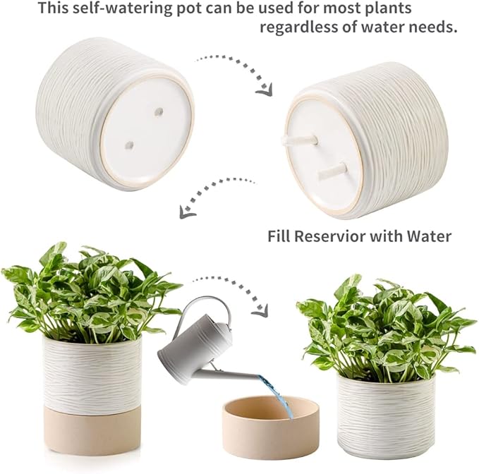 Nihow Self Watering Plant Pot: 6 Inch Ceramic Planter with Drainage Hole & Water Storage Plus for Indoor & Outdoor Plants - Cylinder Round Flower Pot for Succulent/Herbs/Violets - Cream White & Brown-Ruum Studio Home