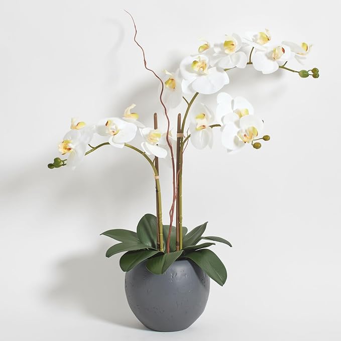 Faux White Orchid Plant, Premium Artificial Indoor Flower Display Stands 25-Inches with Beautiful Sculptural Blooms and Foliage That Lasts Forever, Grey Planter Pot Included-Ruum Studio Home