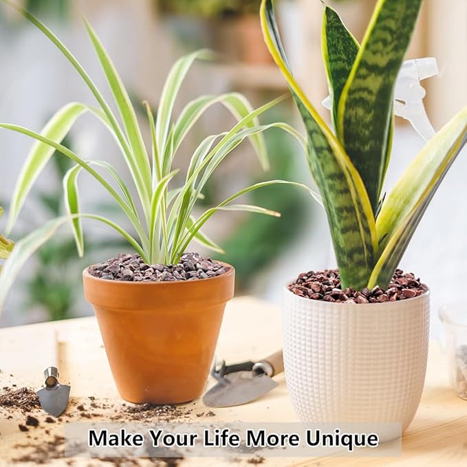 5LB Succulent and Cactus Gravel Pebbles, 1/5 Inch Natural Decorative Polished Stones, River Rocks for Vases Gardening Indoor and Outdoor Decorative Rocks, Red-Ruum Studio Home