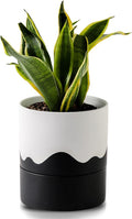 Nihow Self Watering Plant Pot: 6 Inch Ceramic Planter with Drainage Hole & Water Storage Plus for Indoor & Outdoor Plants - Cylinder Round Flower Pot for Succulent/Herbs/Violets - White & Wave Black-Ruum Studio Home