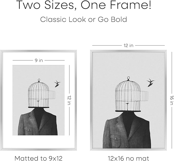 Homeforia 12 x 16 Picture Frame Silver, High End Metal 12x16 Poster Frames with Mat 9x12 Photo, 12 x 16 Silver Frame Matted to 9 x 12 in Print, 16by12 Hanging Frame, Tempered Glass, Wall Kit, Set of 1-Ruum Studio Home